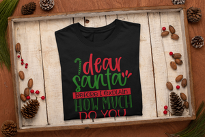 Dear Santa, What Do You Know? Tee